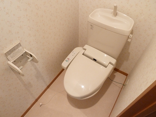 Toilet. Of course, it is Washlet