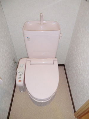 Toilet. Heating cleaning toilet seat equipped