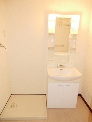 Washroom. Independent sink and washing machine inside the room