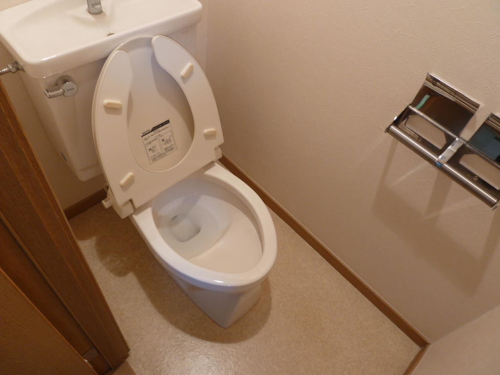 Toilet. Beautiful cleaned spatial.