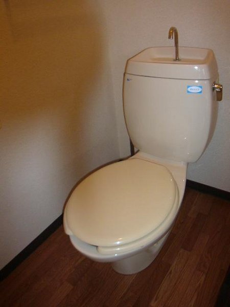 Toilet. Toilet