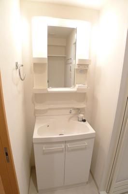 Washroom. Bathroom vanity