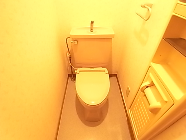 Toilet. It is a toilet with a warm toilet.