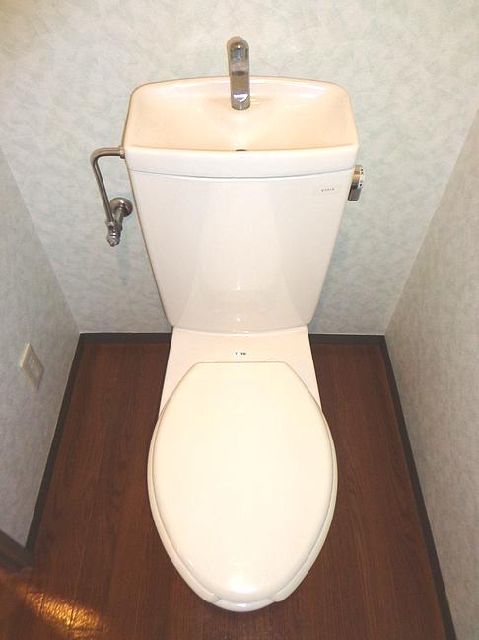 Toilet. Western-style toilet