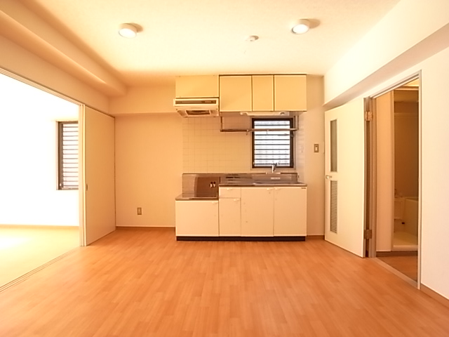 Kitchen. Spacious living room this cleanliness.