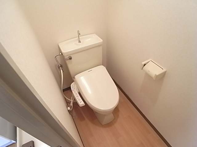 Toilet. Established a bidet.