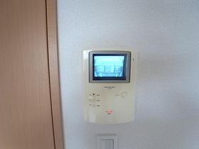 Security. TV monitor with intercom