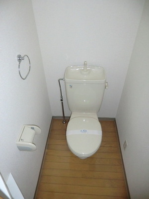 Toilet. Standard western style