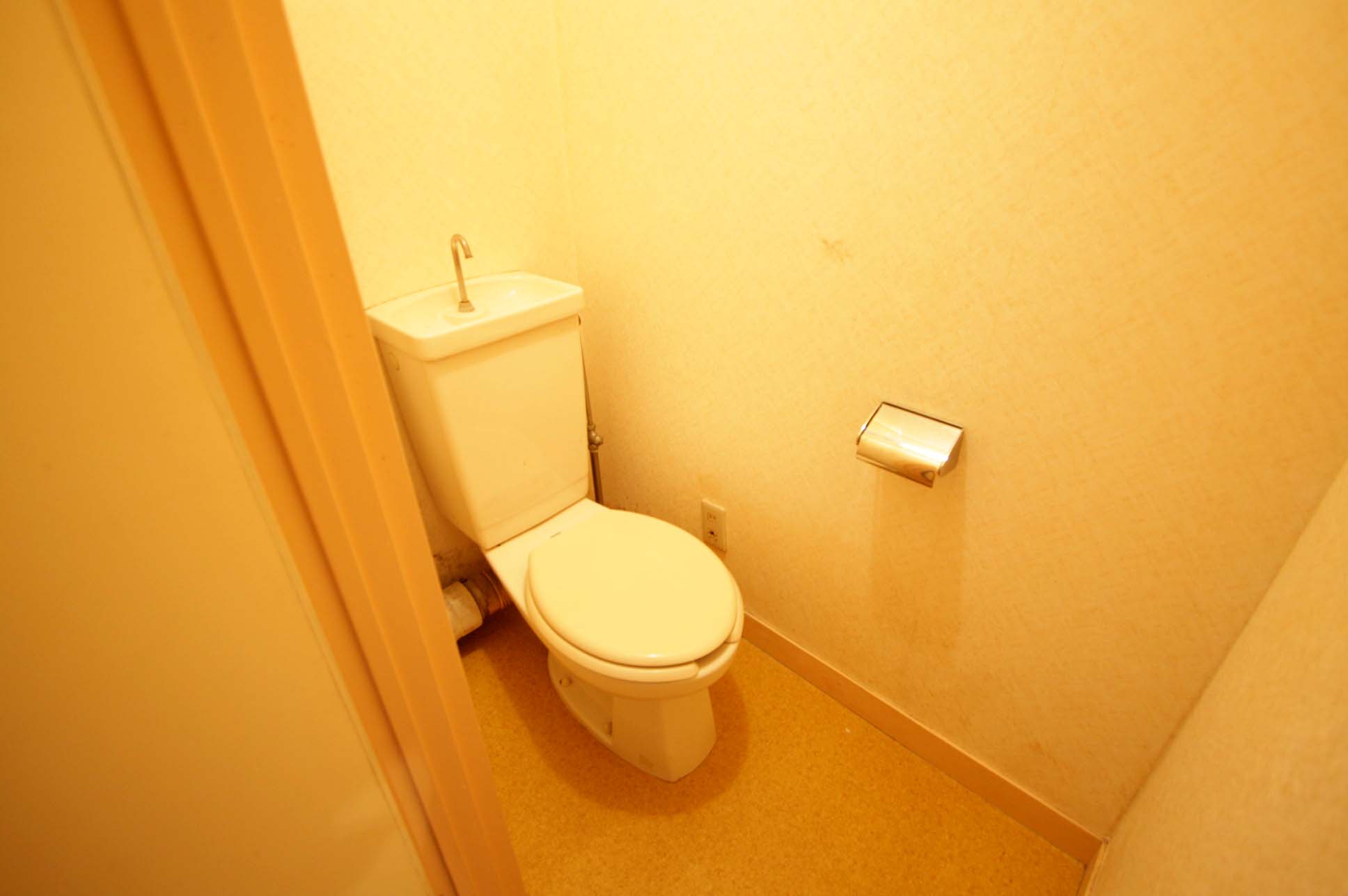 Toilet