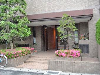 Entrance. Common areas