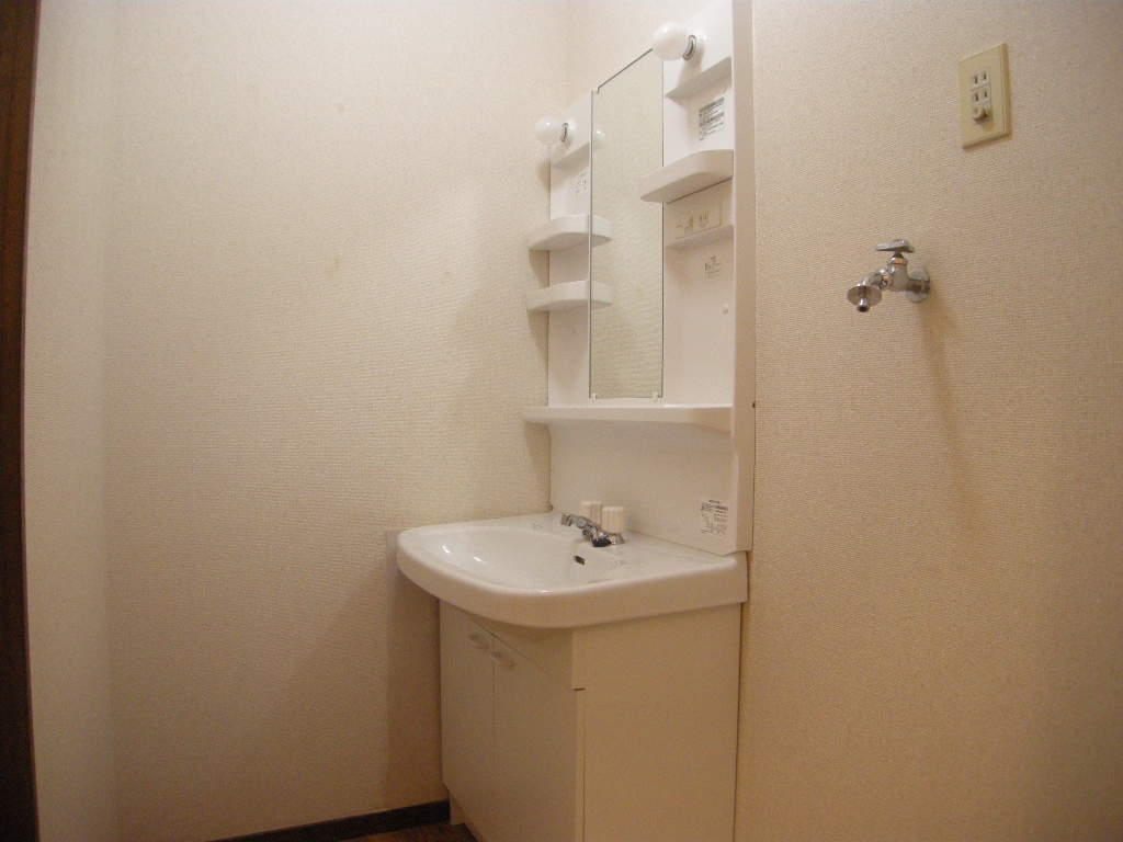 Washroom. Wash basin is with shower. 