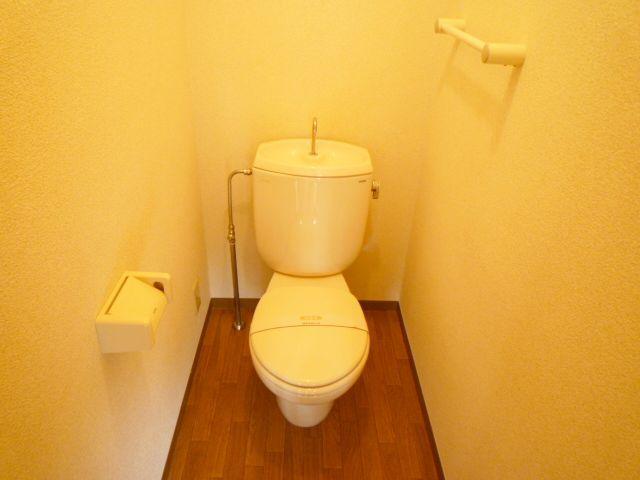 Toilet. Western-style toilet