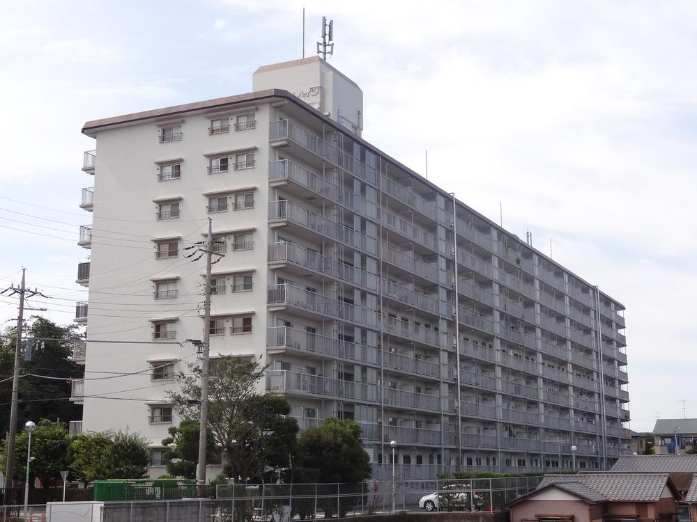 Local appearance photo. Local (12 May 2013) Shooting