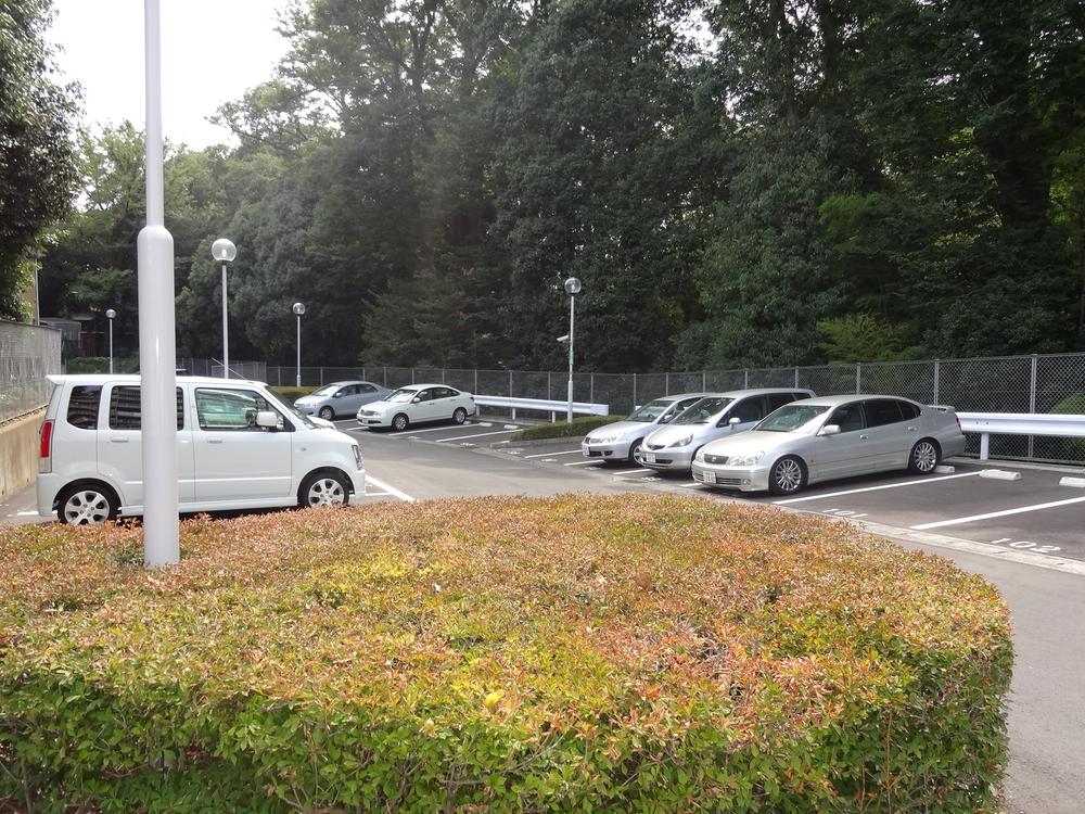 Parking lot. Common areas