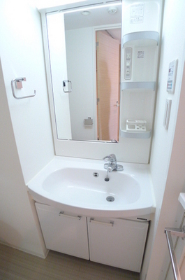 Washroom. Bathroom vanity