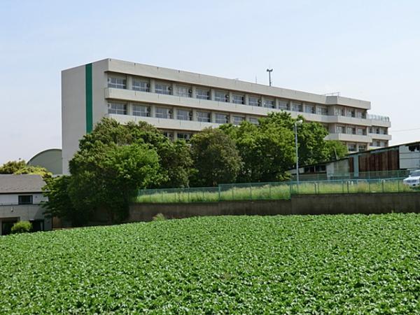 Primary school. Oanakita until elementary school 560m