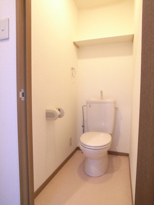 Toilet. Restroom equipped with a convenient storage shelf. 