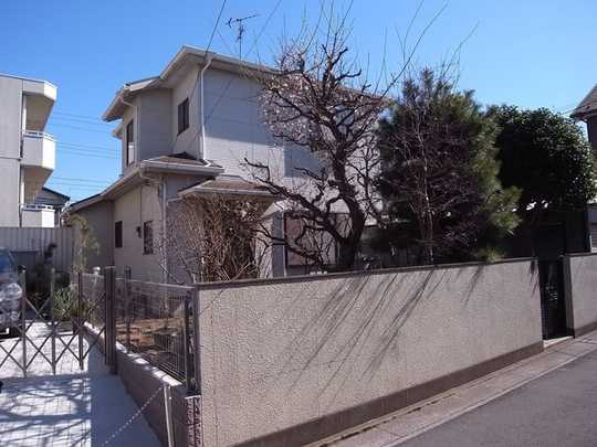 Local appearance photo