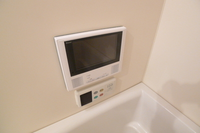 Other Equipment. Bathroom TV