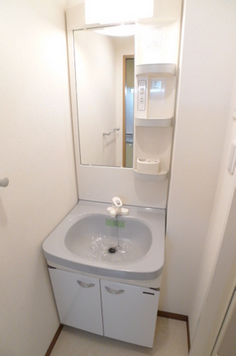 Washroom. Bathroom vanity