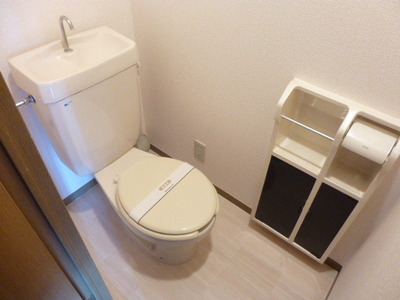 Toilet. Interior clean toilet