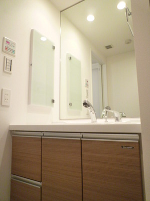 Washroom. Shampoo dresser