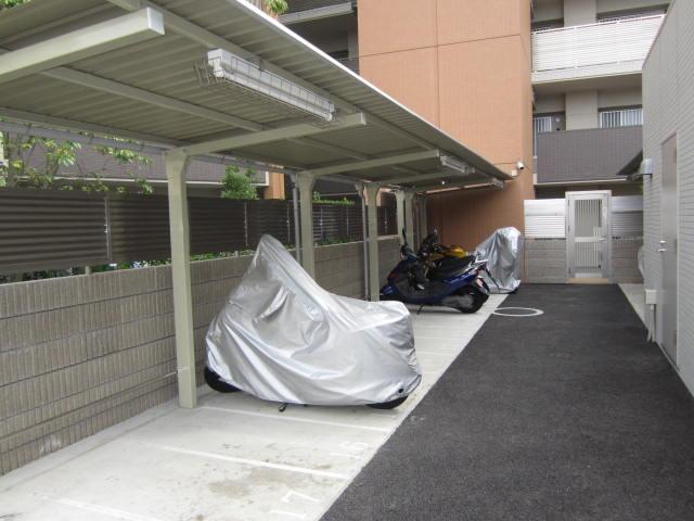 Parking lot. Bike shelter