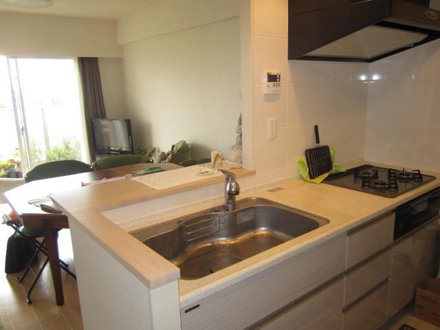 Kitchen. Indoor (10 May 2013) Shooting