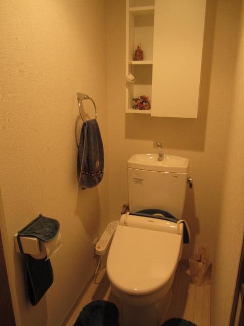 Toilet. Indoor (10 May 2013) Shooting