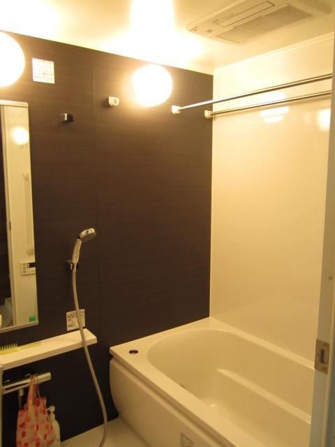 Bathroom. Indoor (10 May 2013) Shooting