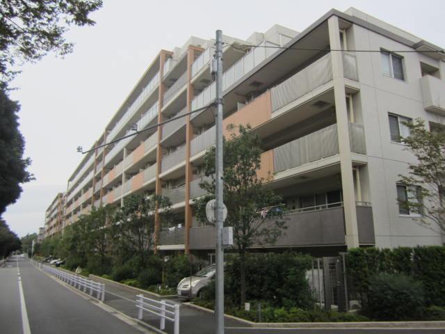 Local appearance photo. Local (10 May 2013) Shooting