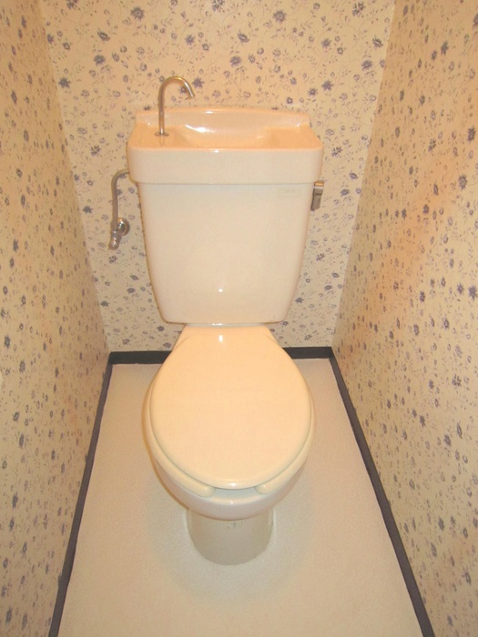 Toilet.  ☆ The room looking for Able Shimousa Zhongshan shop ☆ 047-302-8118 ☆