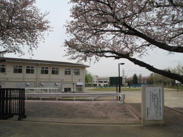 Junior high school. 2010m to Funabashi Ichiritsufunabashi junior high school