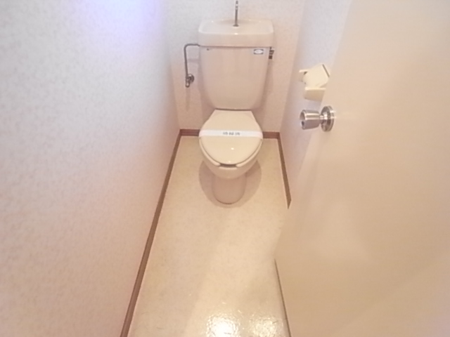 Toilet. It is spacious toilet