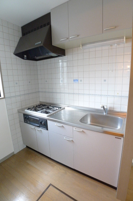 Kitchen. System K (gas three-necked)