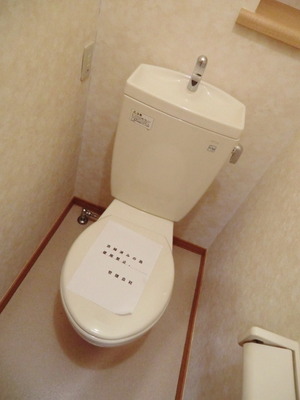 Toilet. Western-style toilet