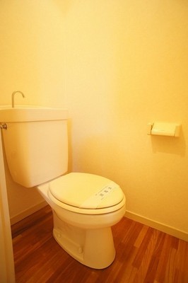 Toilet. Toilet is located immediately to the left on the front door.