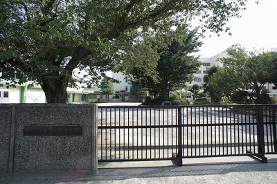 Primary school. 991m to Funabashi Municipal Yakuendai Minami elementary school (elementary school)