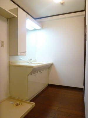 Washroom. Independent washbasins wider set up by two people