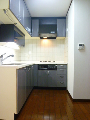 Kitchen. Our cuisine is the L-shaped kitchen to get on