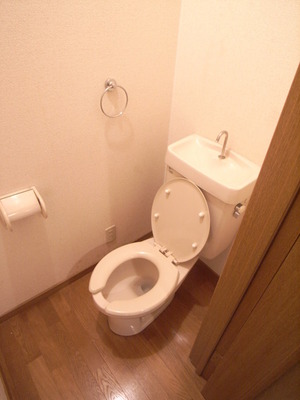 Toilet. Toilet is also beautiful to cleaning being completed!