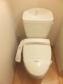 Toilet. There is also at home and happy warm water washing toilet seat