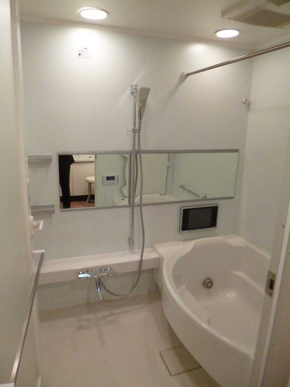 Bathroom. Indoor (10 May 2013) Shooting