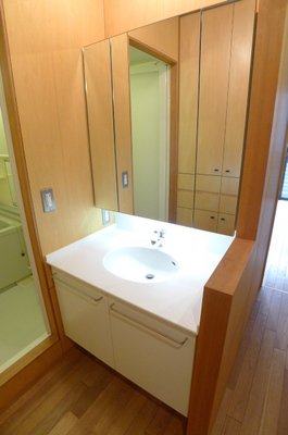 Washroom. Bathroom vanity