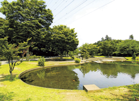 park. And tennis courts with a 1200m citizen pool and night game equipment to Funabashi Sports Park also been developed.