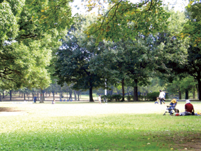 park. Also recommended picnic and bathing in the family on holiday 1400m to Gyoda park.