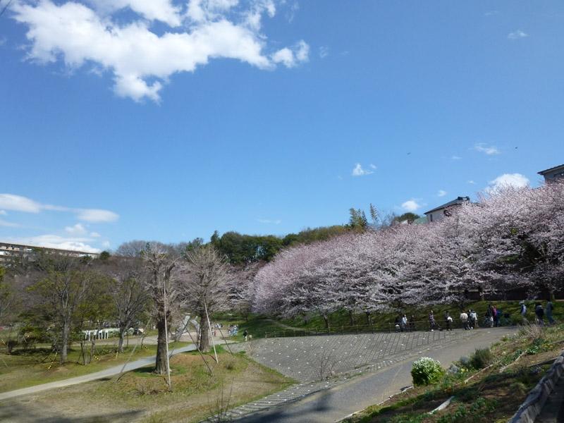 park. Oasis of local residents to enjoy a stroll through the seasons 150m four seasons until Nagatsugawa water park.