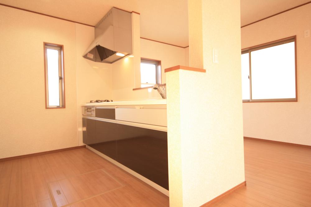 Kitchen. Indoor (12 May 2013) Shooting