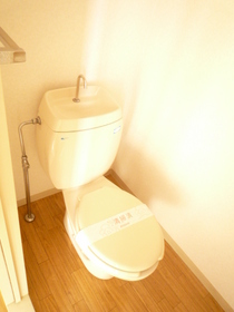 Toilet.  ※ It will be helpful photo ※