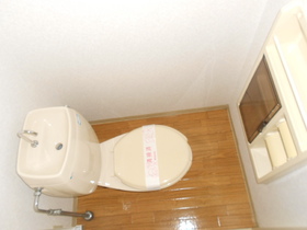 Toilet. The toilet there is housed with paper folder ☆